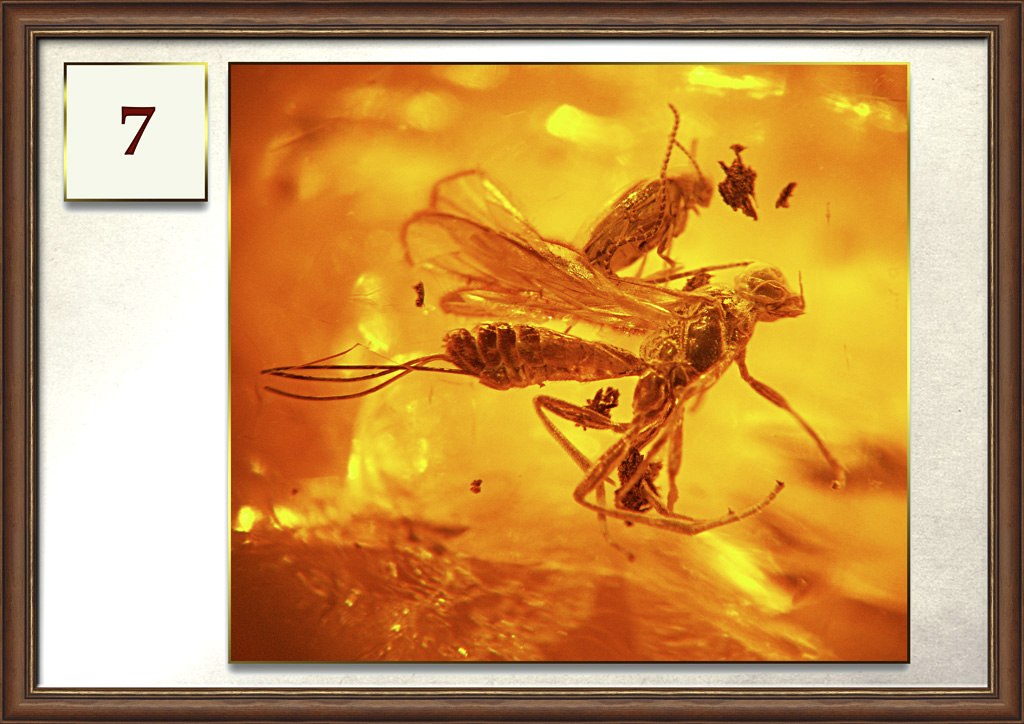 Фото: vk.com/inkluz