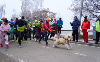 «5 Вёрст», общегородская пробежка. Добрая суббота