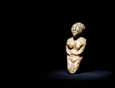 В экспозиции «Сны Сибири» представлено около 40 археологических артефактов, но главными экспонатами стали мальтинские венеры — древние статуэтки женщин, обнаруженные в начале ХХ века на стоянке Мальта в Иркутской области.