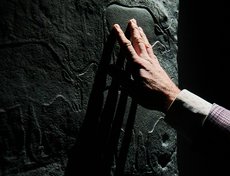 Некоторые экспонаты и элементы выставки можно потрогать.