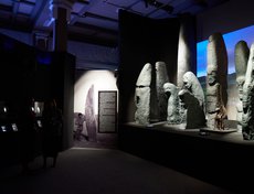 Фонд «Таволга» не просто делает передвижную выставку, а видоизменяет экспозицию в каждом новом городе, добавляя в него артефакты, относящиеся к региону.