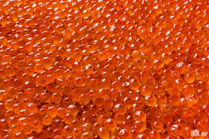 Икра. Фото Никиты Грабовецкого, IRK.ru