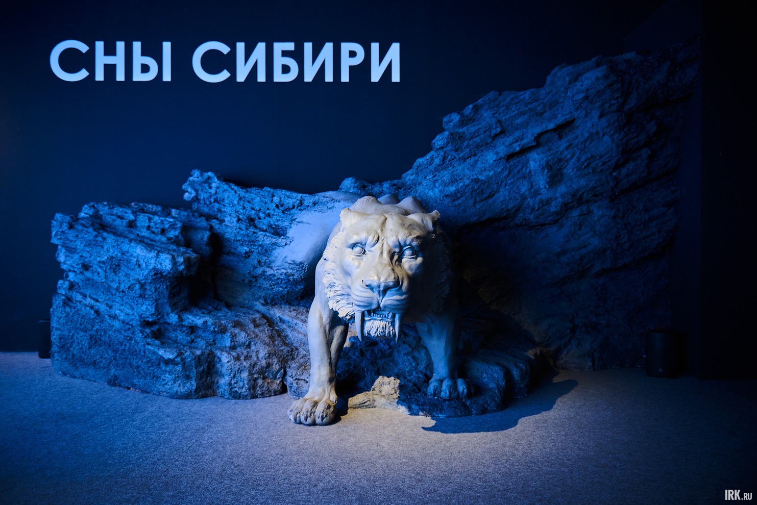 Проект «Сны Сибири» реализуется при поддержке Министерства культуры РФ в рамках национального проекта «Семья».