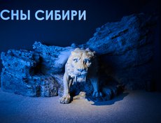 Проект «Сны Сибири» реализуется при поддержке Министерства культуры РФ в рамках национального проекта «Семья».