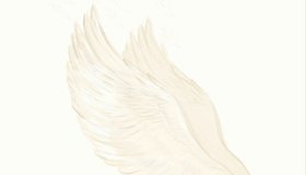 Принцесса птиц