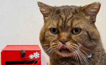 Яркие выходные в «Сибирском зоопарке»