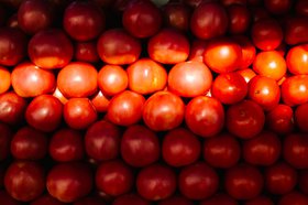 Помидоры. Фото из архива IRK.ru