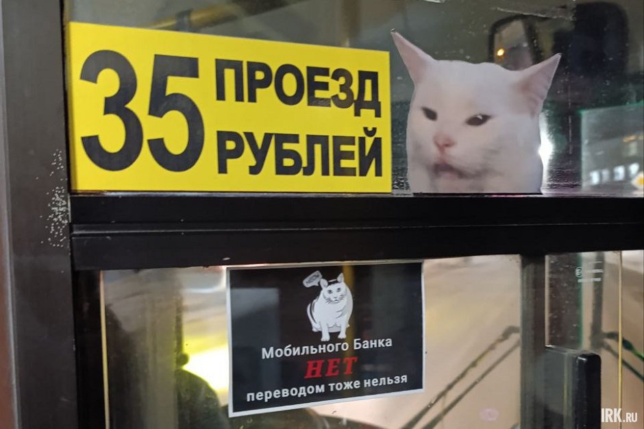 Наклейки с котами из мемов в иркутском автобусе № 8. Фото IRK.ru Наклейки с котами из мемов в иркутском автобусе № 8. Фото IRK.ru