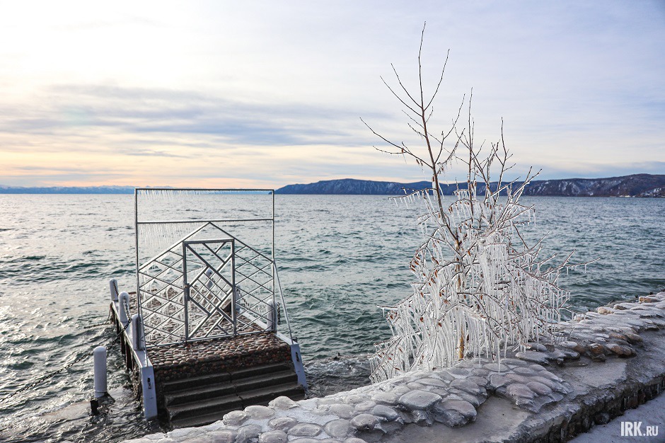 Дерево во льду. Фото Кирилла Шипицина