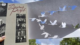 Программа «Вечно живые»