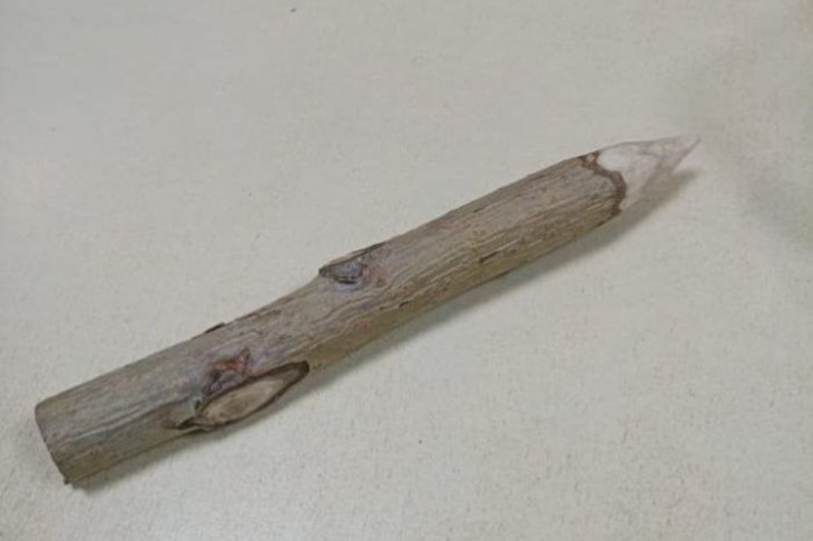 Осиновый кол. Фото пресс-службы УФССП по Омской области