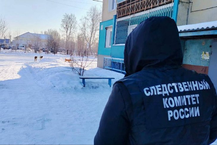 Следственный комитет. Фото пресс-службы СУ СКР по Иркутской области