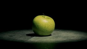 Философский семинар по стоицизму