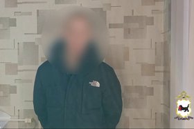 Предполагаемый угонщик. Скриншот видео пресс-службы ГУ МВД по Иркутской области