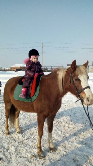 Серьёзная и бесстрашная наездница
