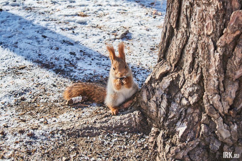 Фото: Маргарита Романова