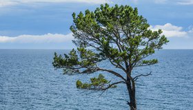 Большой байкальский квиз