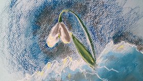 Мастер-класс по графическому рисунку (пастель)