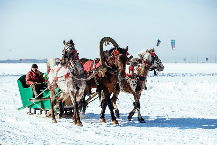 Тройка лошадей. Фото из архива IRK.ru