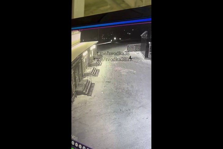 Собаки. Скриншот видео из телеграм-канала svodka38irk