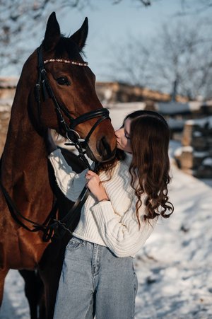 Зимняя сказка