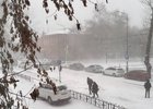 Метель в Иркутске. Фото Марины Палеевой, IRK.ru