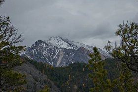 Аршан. Фото пресс-службы МТС