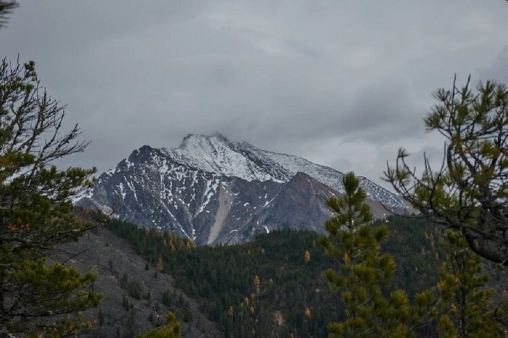 Аршан. Фото пресс-службы МТС