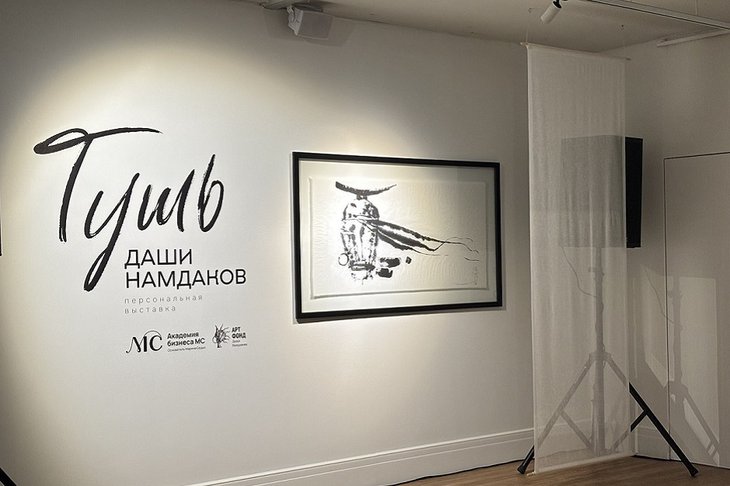 Выставка работ Даши Намдакова. Фото Марины Палеевой, IRK.ru