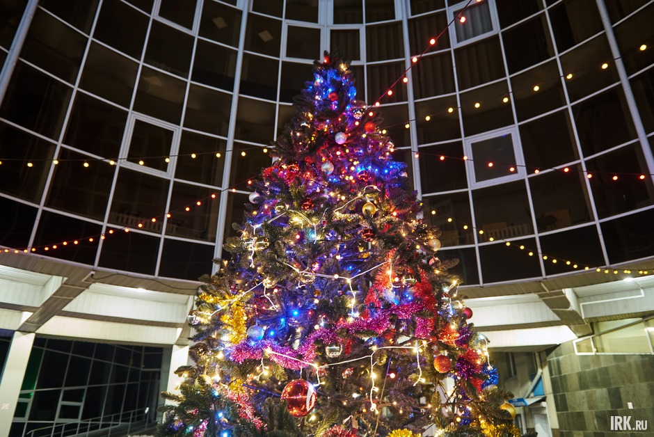 Угадаете, во дворе какого учебного заведения в центре Иркутска стоит эта ёлка?