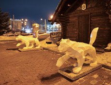 Избушку Деда Мороза будут охранять два белых бабра.