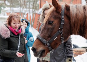 Еще чуть-чуть и отведает любимую морковку