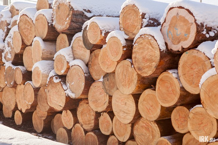 Бревна. Фото из архивов IRK.ru