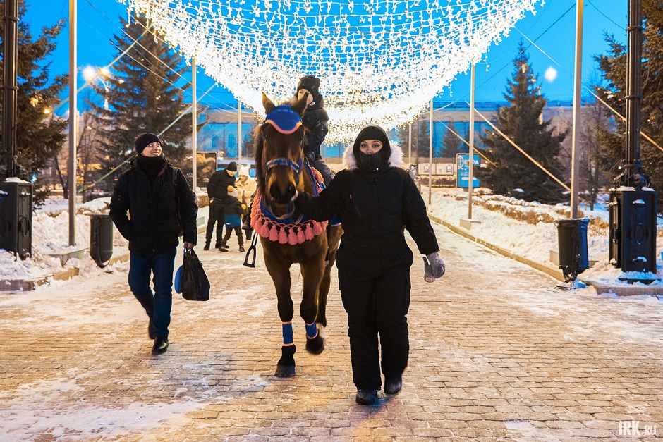 Кто-то катался на лошадях.
