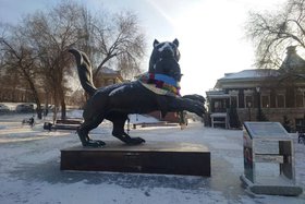 Бабр с шарфом. Фото предоставлено подписчиком IRK.ru