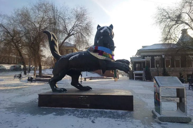 Бабр с шарфом. Фото предоставлено подписчиком IRK.ru