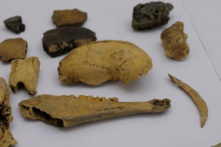 Археологические находки. Фото пресс-службы правительства Иркутской области