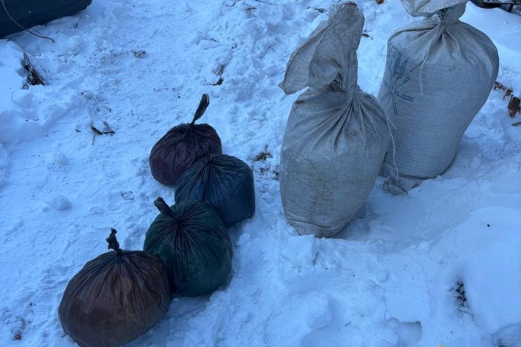 Запрещенные вещества. Фото пресс-службы  Восточно-Сибирского ГУ МВД России по Иркутской области