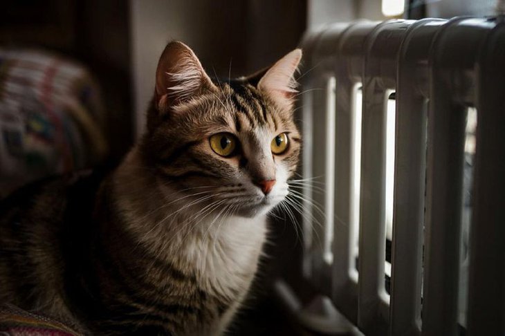 Изображение сгенерировано с помощью нейросети GigaChat