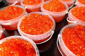 Икра. Фото из архива IRK.ru