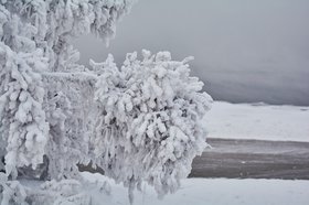 Зима в Иркутске. Фото Маргариты Романовой из архива IRK.ru
