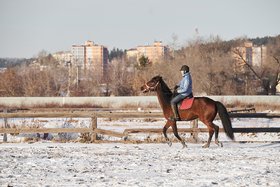 Иркутский ипподром. Фото Маргариты Романовой, IRK.ru