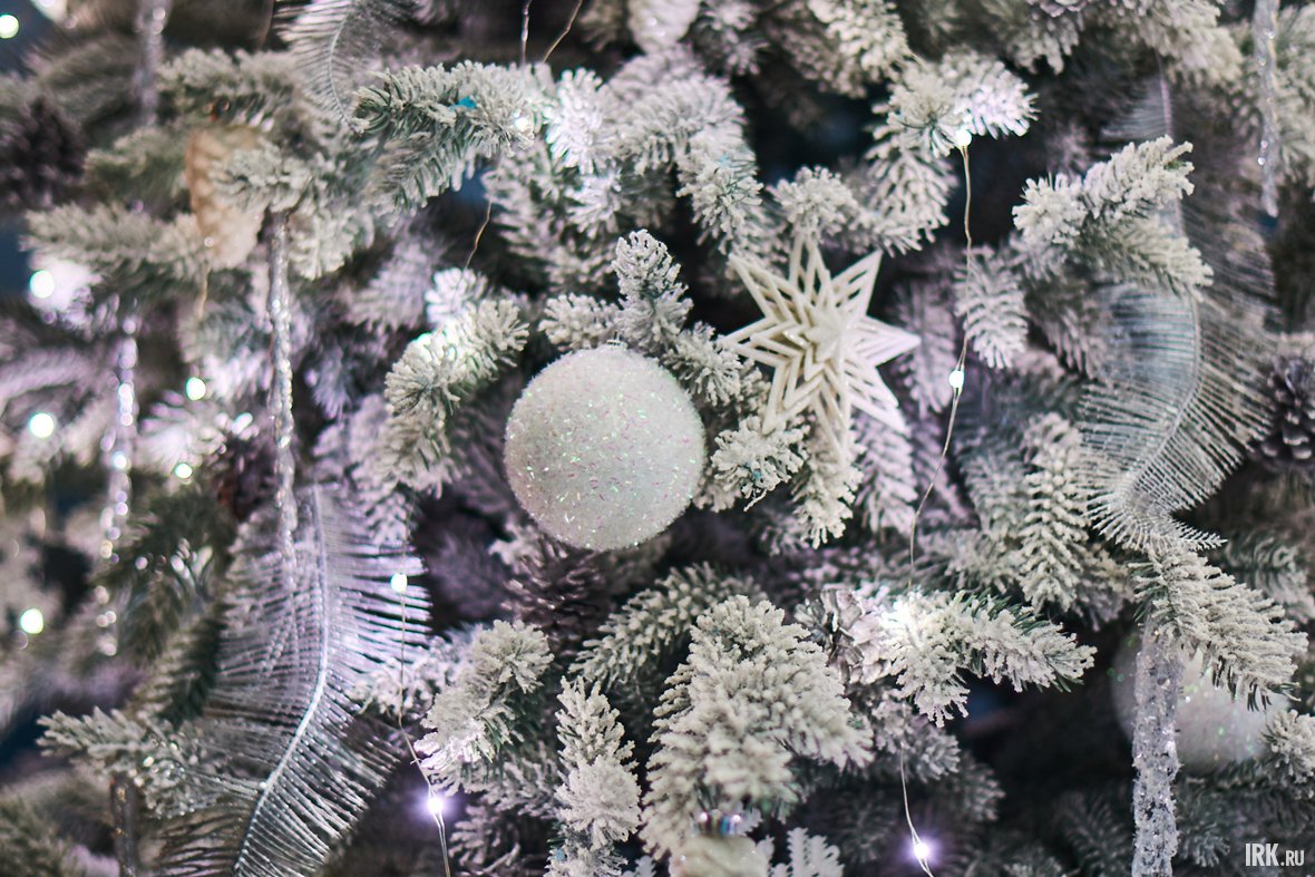 Фото: Маргарита Романова