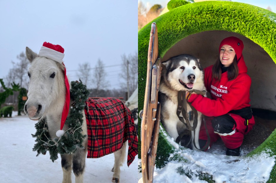 Фото: «Сибирский зоопарк»