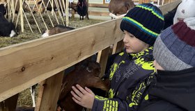 «Вокруг света». Новогодняя программа для семей с маленькими детьми на ферме «Милаша»