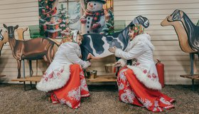 «Вокруг света». Новогодняя программа для семей со взрослыми детьми