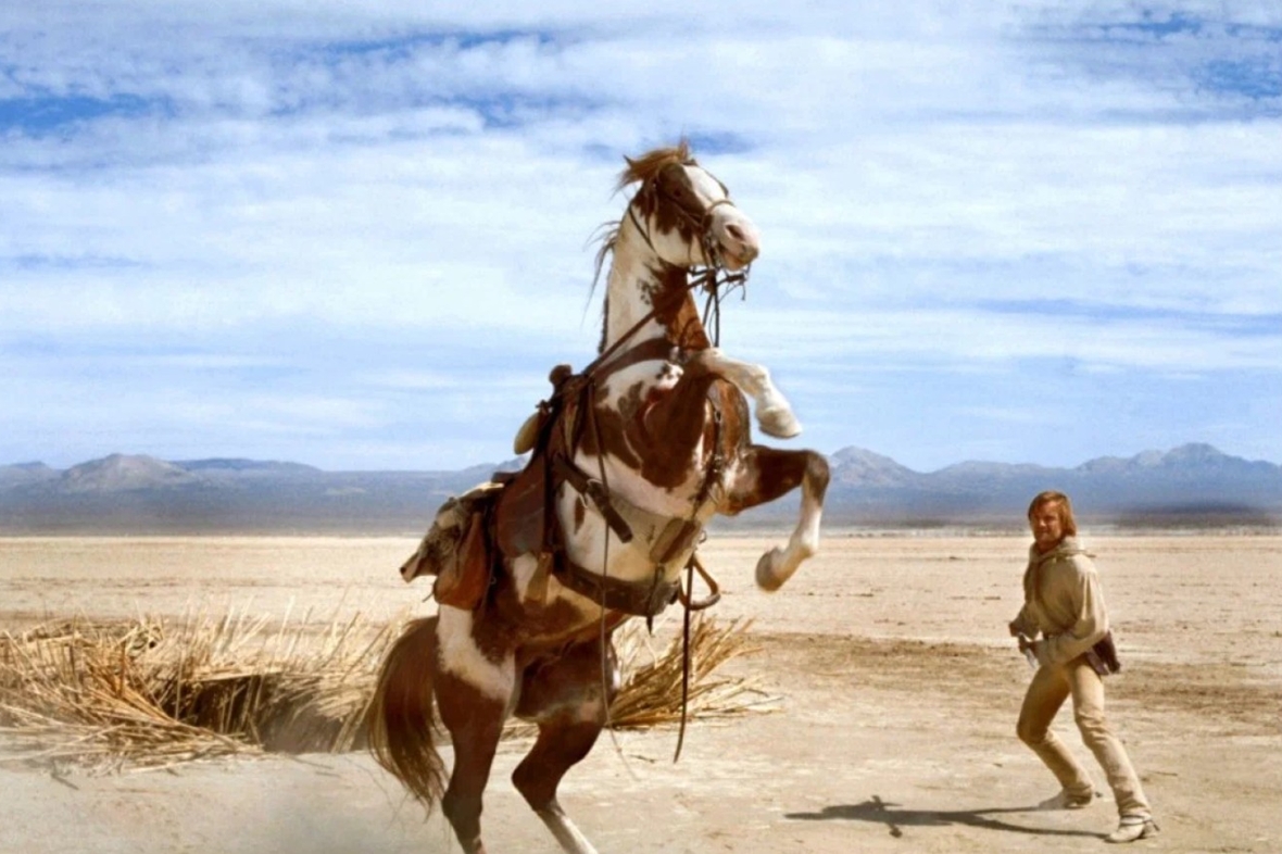 Кадр из фильма «Идальго: Погоня в пустыне». Фото: Kinopoisk.ru