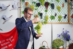 Александр Ведерников с виноградиком
