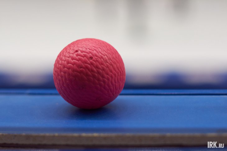 Мяч. Фото Маргариты Романовой, IRK.ru
