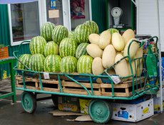 Фруктовых палаток на ярмарке немного, больше овощных.